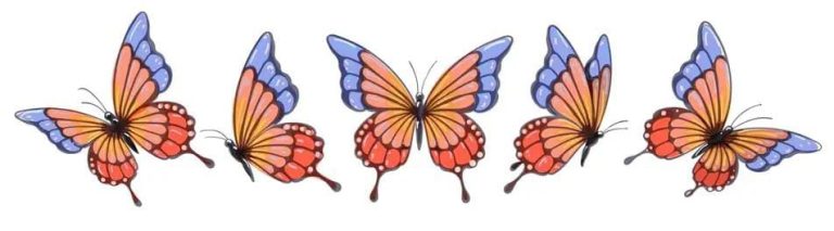 Butterfly Symbol Copy and Paste